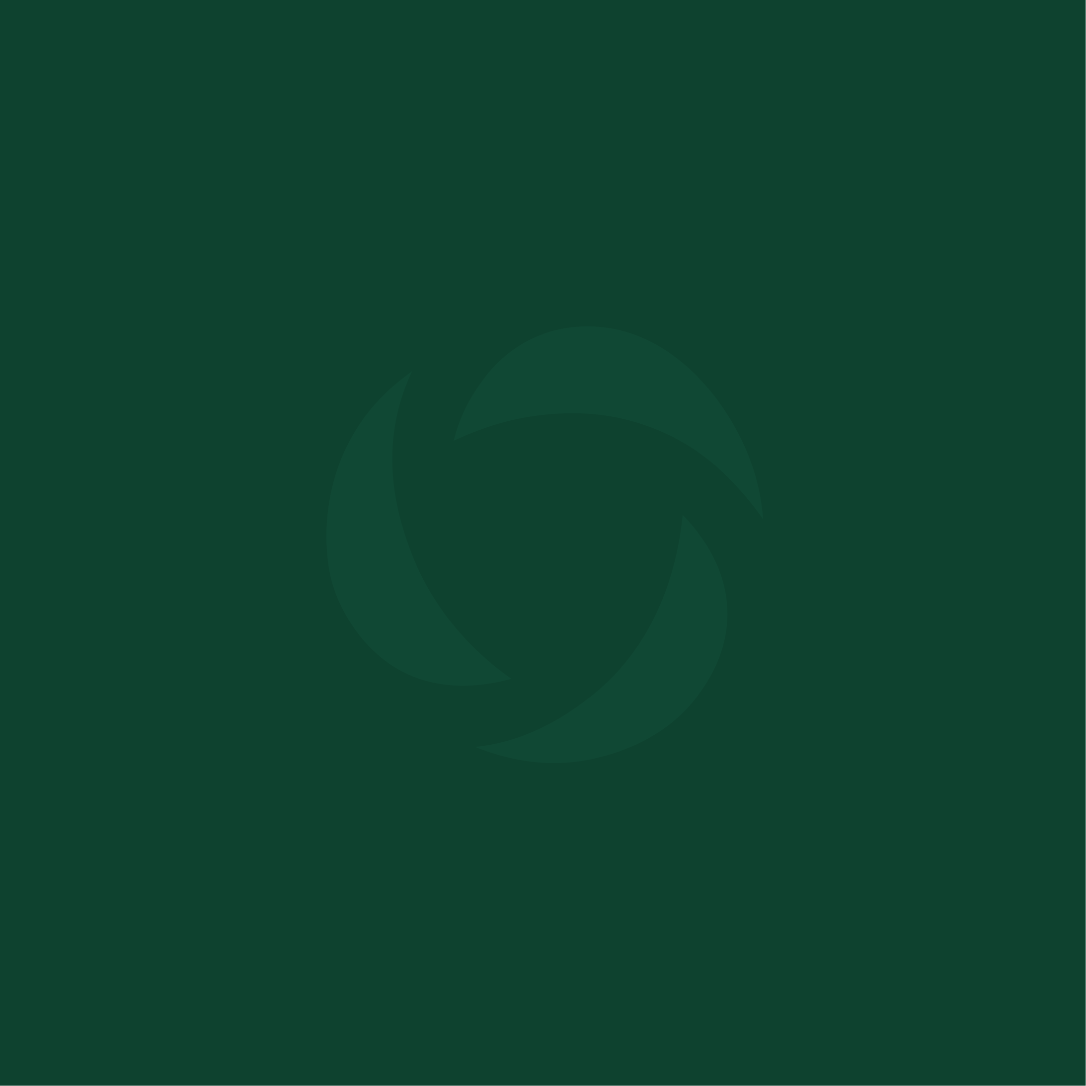 Chimichurri Vegan Chicken w/ Sweet Potato Pure